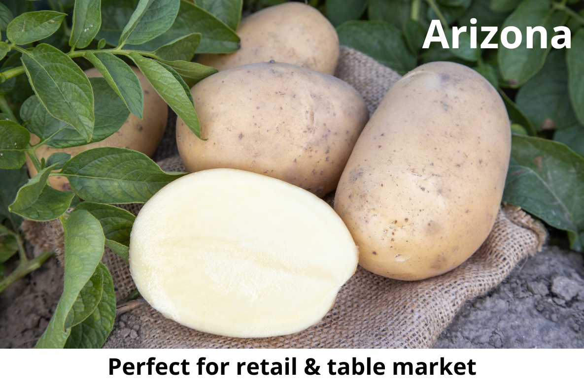 Arizona PSA