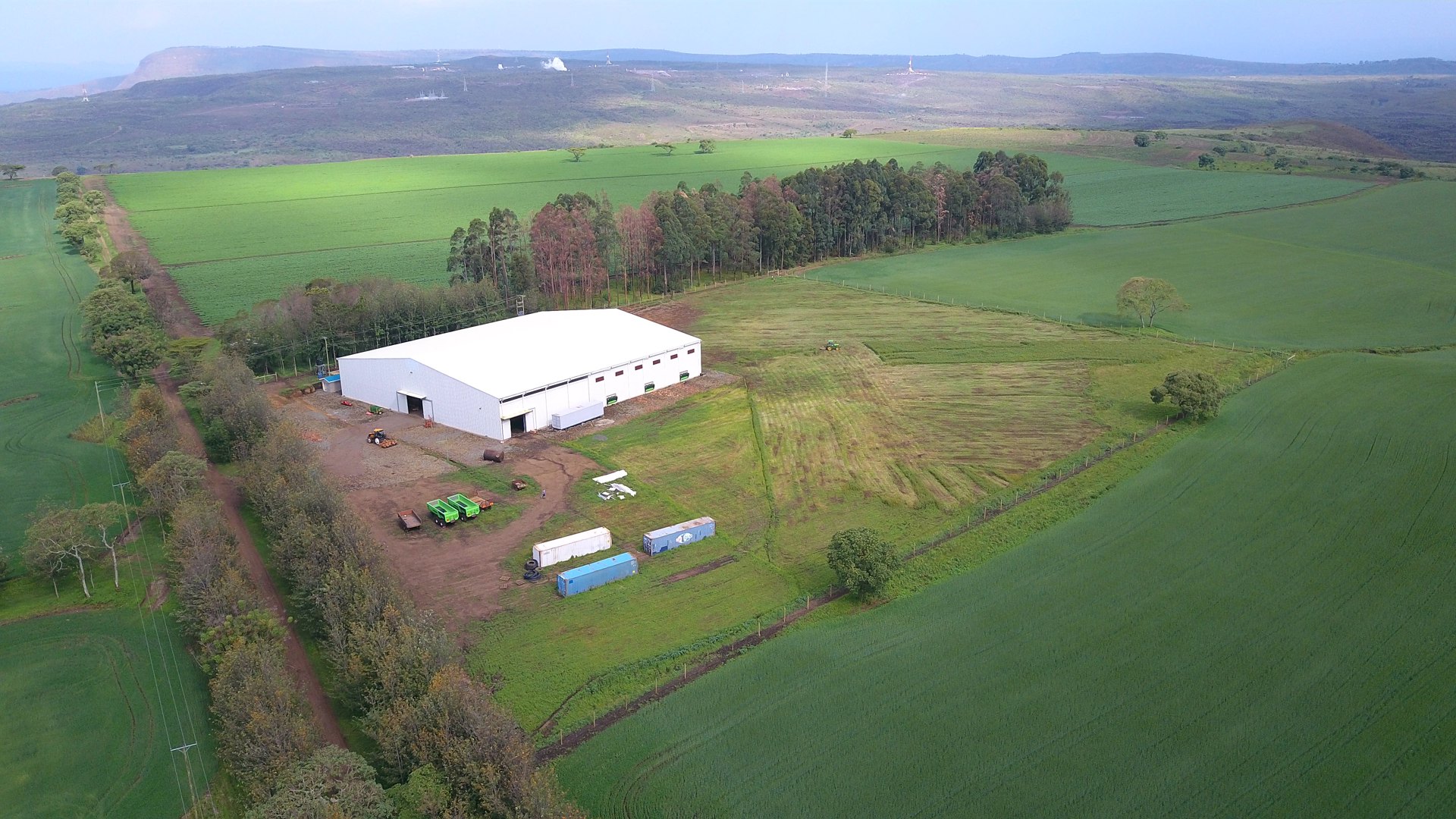 Agrico PSA potato storage kenya