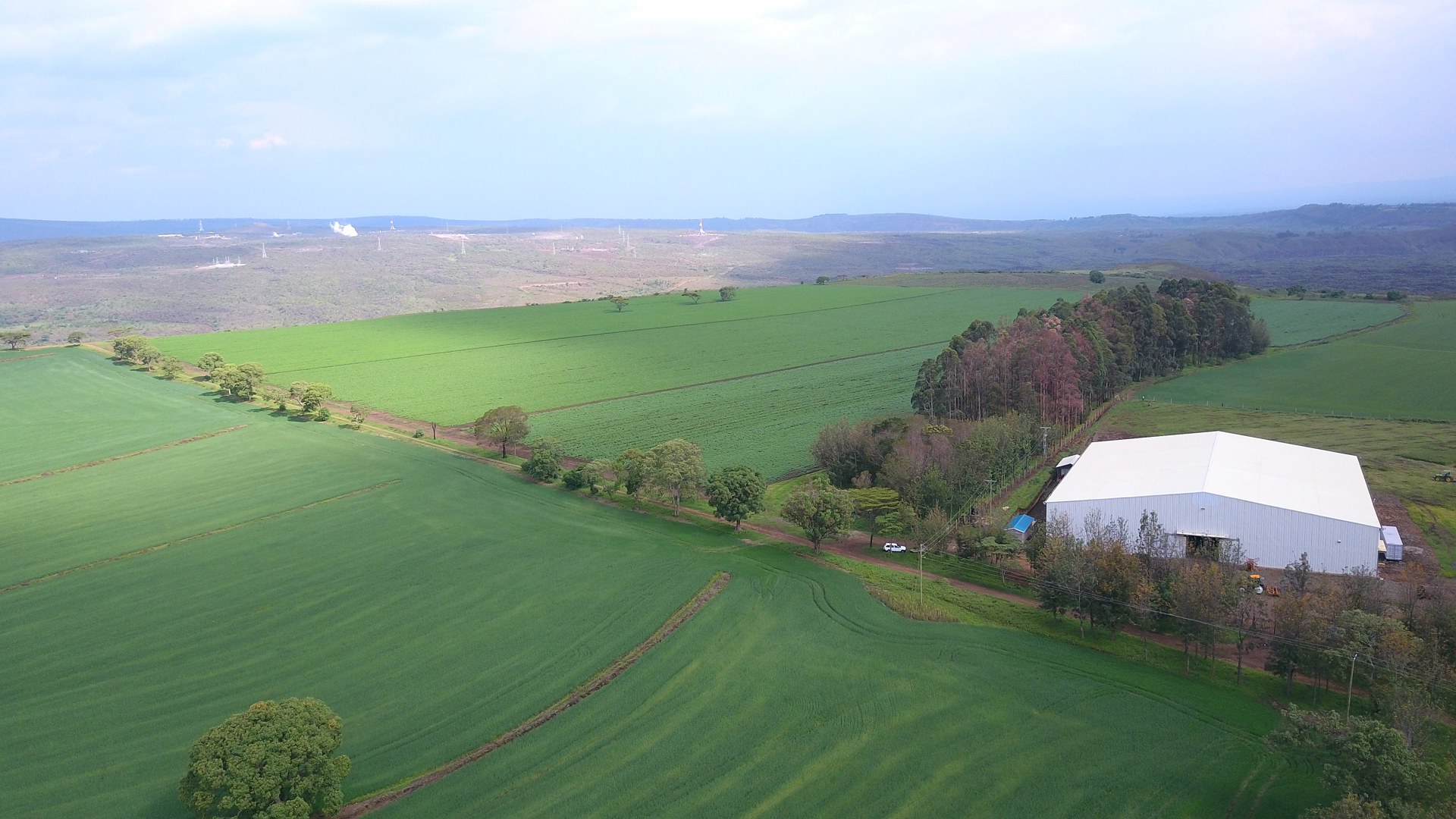 Org B898918e41ac26ef 1500382387000