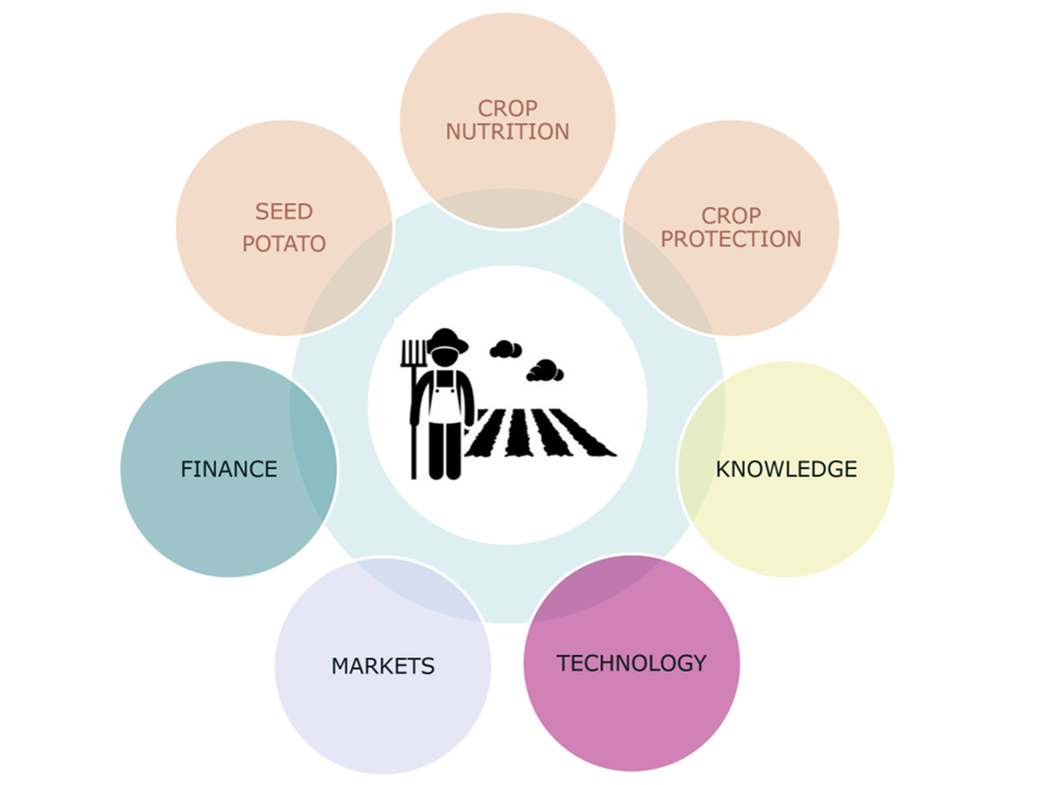 Creating a healthy potato farmer ecosystem