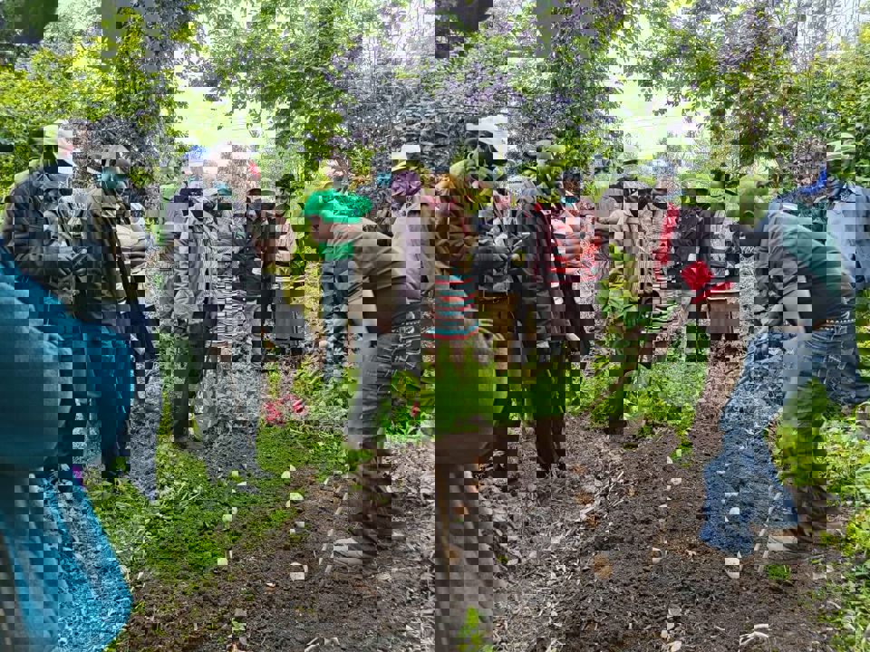 Potato training on site