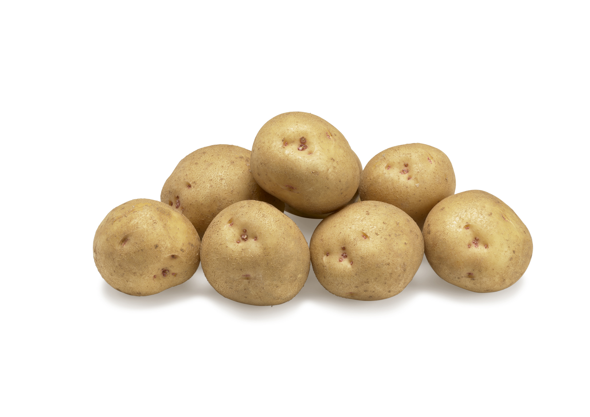 Destiny ©Agrico NL HR 2020